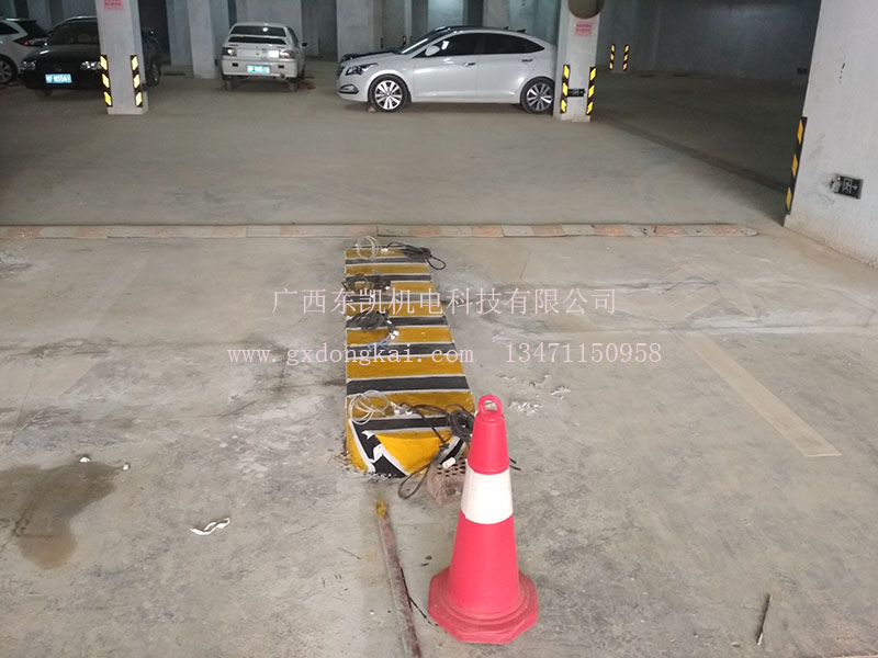 大新縣小區停車(chē)場(chǎng)系統-1